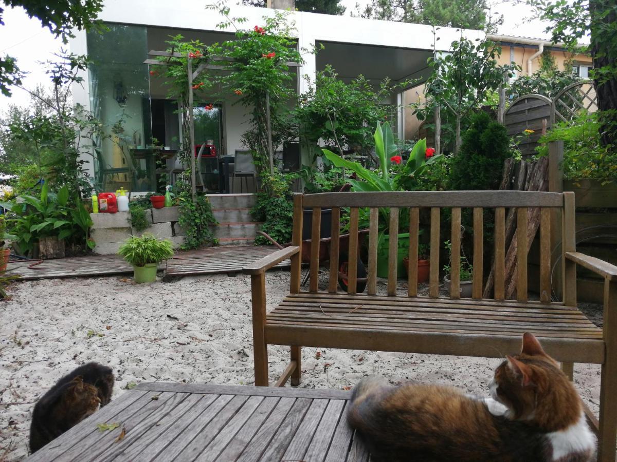 مبيت وإفطار Lège-Cap-Ferret Le Relais De La Praya المظهر الخارجي الصورة