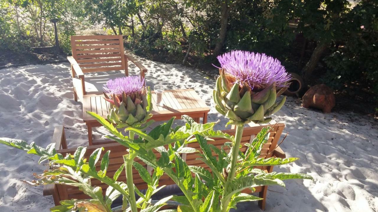مبيت وإفطار Lège-Cap-Ferret Le Relais De La Praya المظهر الخارجي الصورة